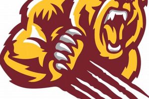 Discover Central Baldwin Middle School: A Parent's Guide | Best Schools in America: Top Public & Private Options