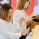 Find the Best Cosmetology Schools Near You | Best Schools in America: Top Public & Private Options