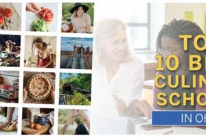 Top 5 Culinary Schools in Ohio 2024 | Best Schools in America: Top Public & Private Options