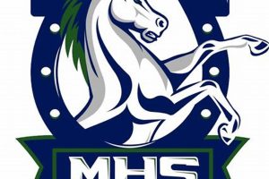 Top-Rated Mavericks High School: A Guide | Best Schools in America: Top Public & Private Options