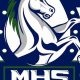 Top-Rated Mavericks High School: A Guide | Best Schools in America: Top Public & Private Options