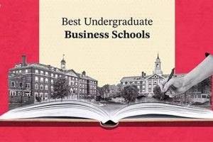 Top US Schools for History Undergrad Degrees 2024 | Best Schools in America: Top Public & Private Options