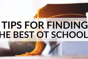 Top 10 Best OT Schools & Programs | Best Schools in America: Top Public & Private Options