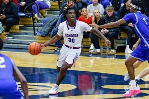 IHSA Basketball: Illinois State Tournament Guide | Best Schools in America: Top Public & Private Options