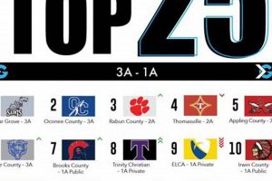 Top Georgia High School Football Rankings & Predictions 2024 | Best Schools in America: Top Public & Private Options