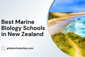 Top 10 Best Schools for Marine Biology Degrees 2024 | Best Schools in America: Top Public & Private Options
