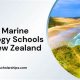 Top 10 Best Schools for Marine Biology Degrees 2024 | Best Schools in America: Top Public & Private Options