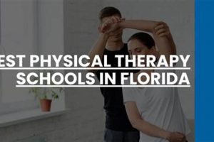 Top Physical Therapy Schools in Florida: 2024 Guide Best Schools in America: Top Public & Private Options Top Physical Therapy Schools in Florida: 2024 Guide | Best Schools in America: Top Public & Private Options