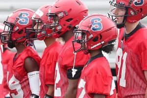 Stepinac HS Football: A Legacy of Excellence | Best Schools in America: Top Public & Private Options