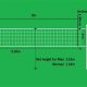 Official High School Volleyball Net Height: Rules & Specs | Best Schools in America: Top Public & Private Options