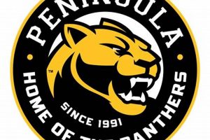 Top Peninsula High School College Programs & Options | Best Schools in America: Top Public & Private Options