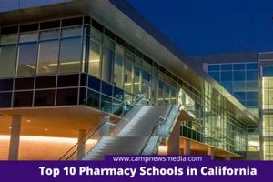 Top Best Pharmacy Schools: Guide & Rankings | Best Schools in America: Top Public & Private Options