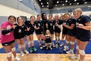 Top US Best Schools for Volleyball: A Guide | Best Schools in America: Top Public & Private Options