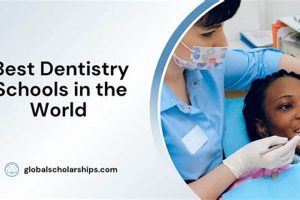 Top 5 Best Dentistry Schools: 2024 Rankings | Best Schools in America: Top Public & Private Options