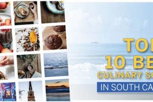 Top Culinary Schools in South Carolina 2024 | Best Schools in America: Top Public & Private Options