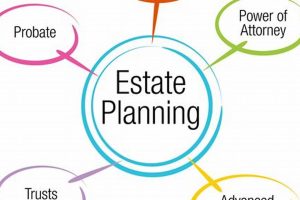 Best Estate Planning Law Schools Best Schools in America: Top Public & Private Options Best Estate Planning Law Schools | Best Schools in America: Top Public & Private Options