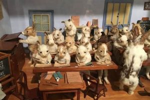 Find the Best Taxidermy Schools Near You | Best Schools in America: Top Public & Private Options