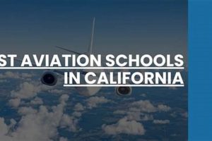 Top Aviation Schools in California: 2024 Guide | Best Schools in America: Top Public & Private Options