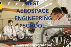 Top 10 Best Aerospace Engineering Schools in 2024 | Best Schools in America: Top Public & Private Options