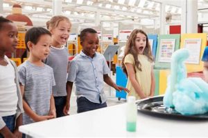 Best Elementary School Enrichment Programs for Private Schools | Best Schools in America: Top Public & Private Options