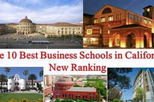Top Best Business Schools in California 2024 | Best Schools in America: Top Public & Private Options