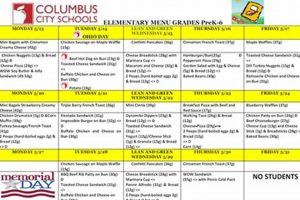 Polk County Schools Lunch Menu: Nutritious & Delicious | Best Schools in America: Top Public & Private Options
