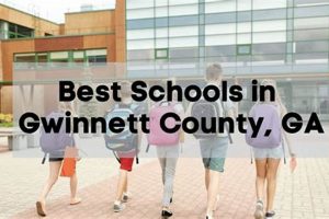 Top-Rated Best Schools in Gwinnett: 2024 Guide | Best Schools in America: Top Public & Private Options