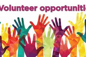 Enrich Learning: Elementary School Volunteer Opportunities | Best Schools in America: Top Public & Private Options