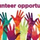 Enrich Learning: Elementary School Volunteer Opportunities | Best Schools in America: Top Public & Private Options