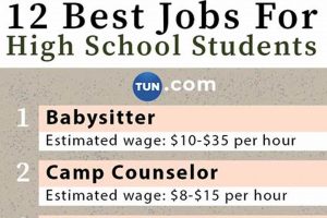 Best Online Jobs for High School Students | Best Schools in America: Top Public & Private Options
