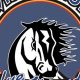 Belvidere North HS Football: Team Updates & More | Best Schools in America: Top Public & Private Options