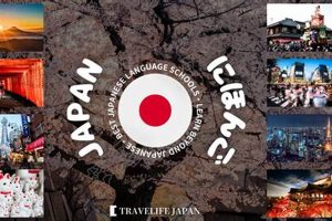 Top Best Language Schools in Japan: Guide | Best Schools in America: Top Public & Private Options