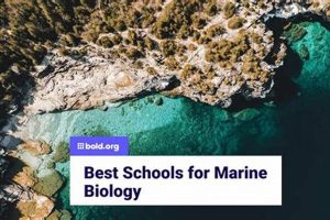 Top Marine Biology Grad Schools & Programs | Best Schools in America: Top Public & Private Options