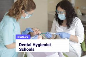 Top Dental Hygienist Schools Near You: Find the Best | Best Schools in America: Top Public & Private Options