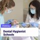 Top Dental Hygienist Schools Near You: Find the Best | Best Schools in America: Top Public & Private Options