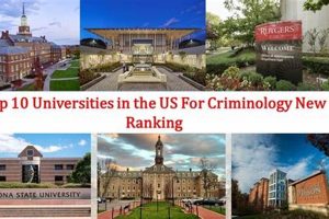 Top 10 Best Criminology Schools: 2024 Guide Best Schools in America: Top Public & Private Options Top 10 Best Criminology Schools: 2024 Guide | Best Schools in America: Top Public & Private Options