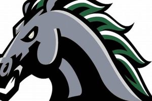 Evergreen Park High School Football: A Legacy of Excellence Best Schools in America: Top Public & Private Options Evergreen Park High School Football: A Legacy of Excellence | Best Schools in America: Top Public & Private Options