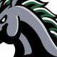 Evergreen Park High School Football: A Legacy of Excellence | Best Schools in America: Top Public & Private Options