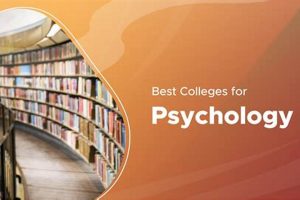 Top NC Psychology Schools & Programs | Best Schools in America: Top Public & Private Options