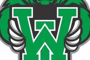 West Lincoln High Football Team & Schedule | Best Schools in America: Top Public & Private Options