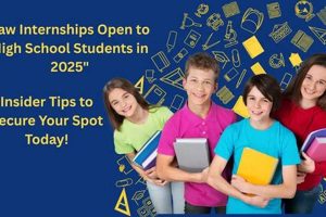 High School Law Firm Internships: A Guide Best Schools in America: Top Public & Private Options High School Law Firm Internships: A Guide | Best Schools in America: Top Public & Private Options