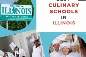 Top 5 Culinary Schools in Illinois 2024 | Best Schools in America: Top Public & Private Options
