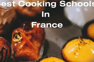 Top 5 Best Cooking Schools in France 2024 | Best Schools in America: Top Public & Private Options