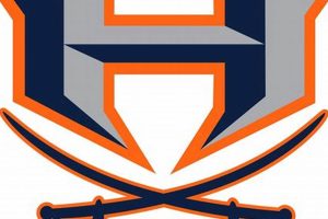 Best Font for Habersham Raiders: Design Guide | Best Schools in America: Top Public & Private Options