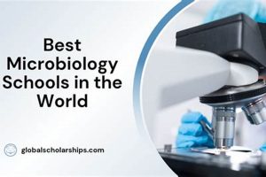 Top 10 Best Microbiology Schools: 2024 Guide | Best Schools in America: Top Public & Private Options