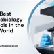 Top 10 Best Microbiology Schools: 2024 Guide | Best Schools in America: Top Public & Private Options