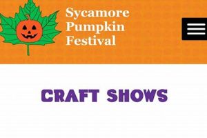 Sycamore HS Craft Show 2024: Art & Fun! | Best Schools in America: Top Public & Private Options