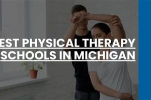 Top Physical Therapy Schools in Michigan Guide | Best Schools in America: Top Public & Private Options