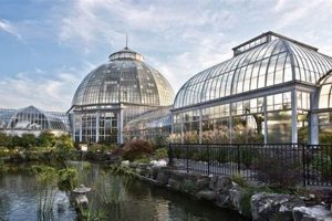 Top Music Conservatories in the World: A Guide | Best Schools in America: Top Public & Private Options