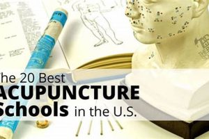 Top 10 Best Acupuncture Schools in the US 2024 | Best Schools in America: Top Public & Private Options